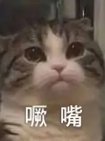 hp我只是想活着而已