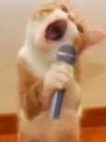 书名正在修改1720165938486391394