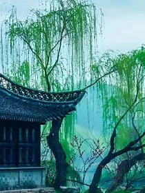沙海：翠阴明月胜花夜