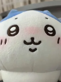 年年的林旭清