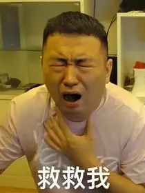 罗斯特梦幻历险记