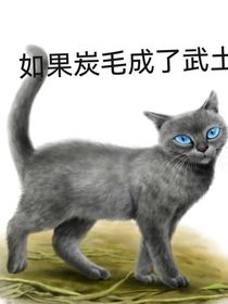 猫武士一一如果炭毛成为武士