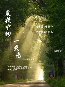 夏夜中的一束光