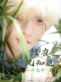 TF三代：只有风知道