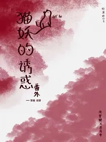 猫妖的诱惑（番外）