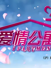 爱情公寓之不一样的结局