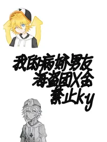 看简介和封面