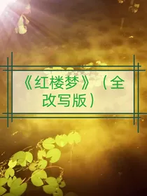 红楼梦（全改写版本）