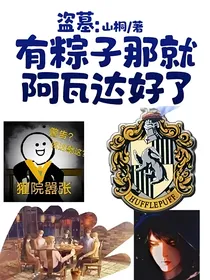 盗墓：有粽子那就阿瓦达好了