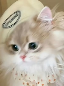 故人之子