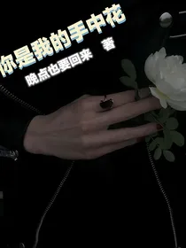 双男主攻略：你是我的手中花