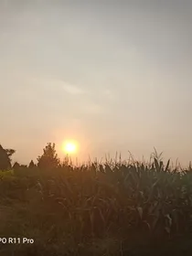 旅情事记