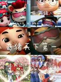 阿猪对不起