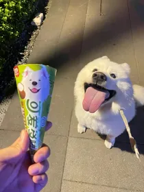 我靠沙雕浪迹恐怖游戏