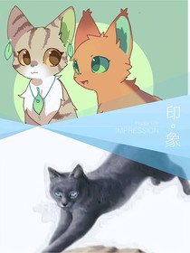 猫武士之如果……