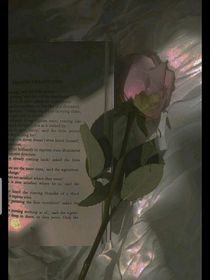 葬花礼
