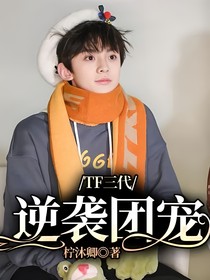 TF三代：逆袭团宠
