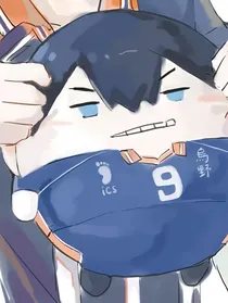 排球影日：一梦而已