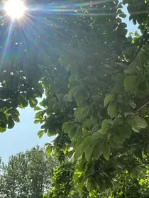 与子携老