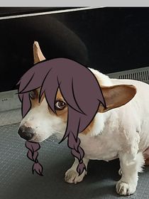 摸鱼混更