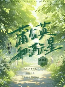 蒲公英和满天星