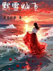 默雪灿飞