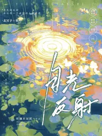 月光反射