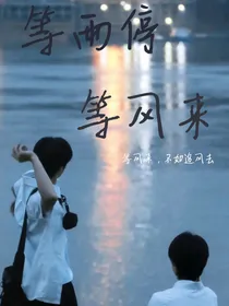 等雨停，等风来