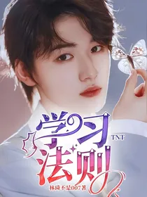 TNT：学习法则