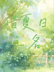 借夏日之名