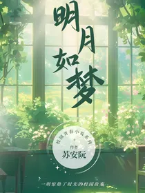 明月如梦1