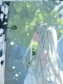 烟花过往