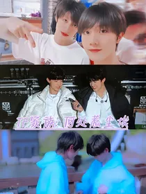 TF家族：何处惹尘埃