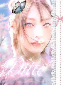 请回答，Ditto