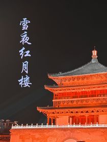 雪夜红月楼