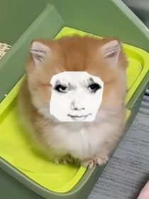 太空杀cp小说