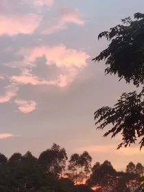 张楚浩