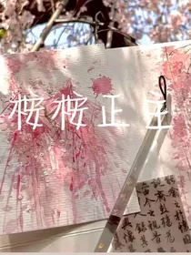 桉桉主上