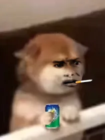 在意识消散之前我们坐在冥王星上
