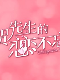 贺先生的恋恋不忘（续）