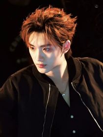 网络crush