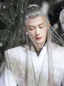 前世今生：夭柳后续