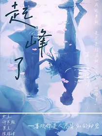 起峰了