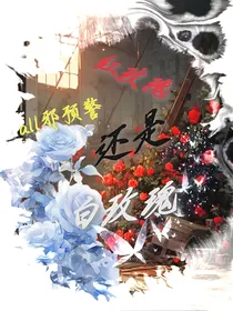 红玫瑰还是白玫瑰（all邪）