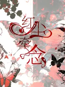 斗龙：红尘牵念