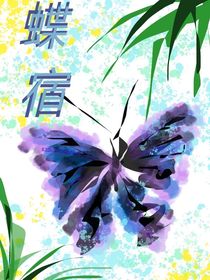 蝶宿