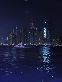 救世宅女