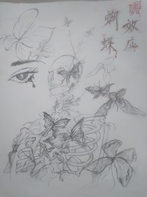 蝴蝶万花筒