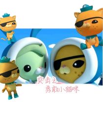 突击之勇敢小猫