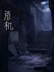 危机……